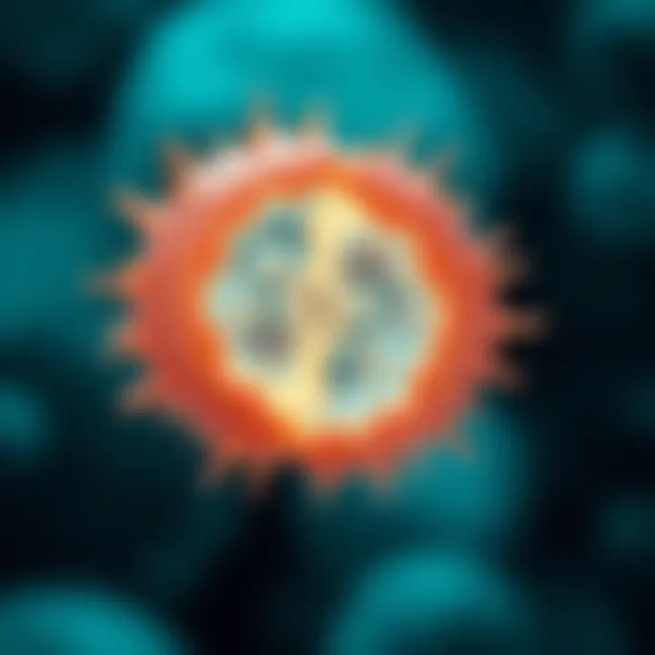 Illustration of an amoeba splitting into two identical daughter cells through binary fission