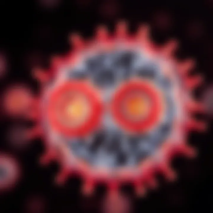 Comparison chart showing binary fission versus other cell division methods