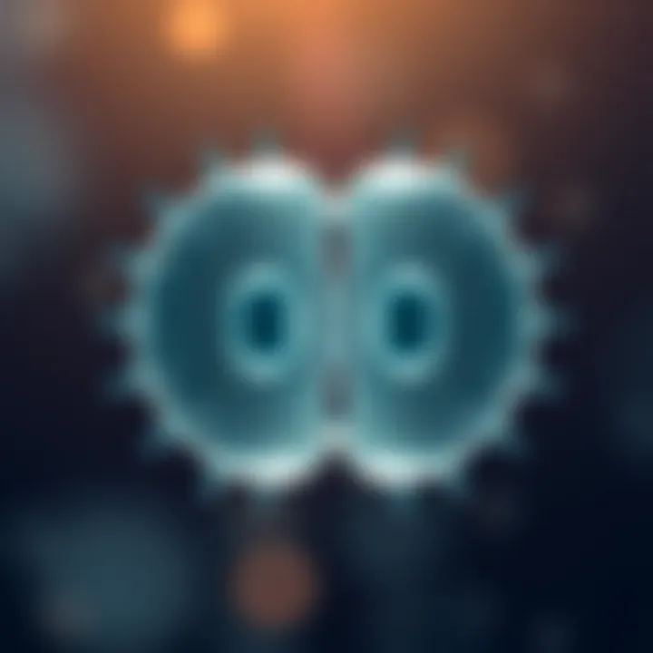 Diagram showing a single cell splitting into two identical cells during binary fission