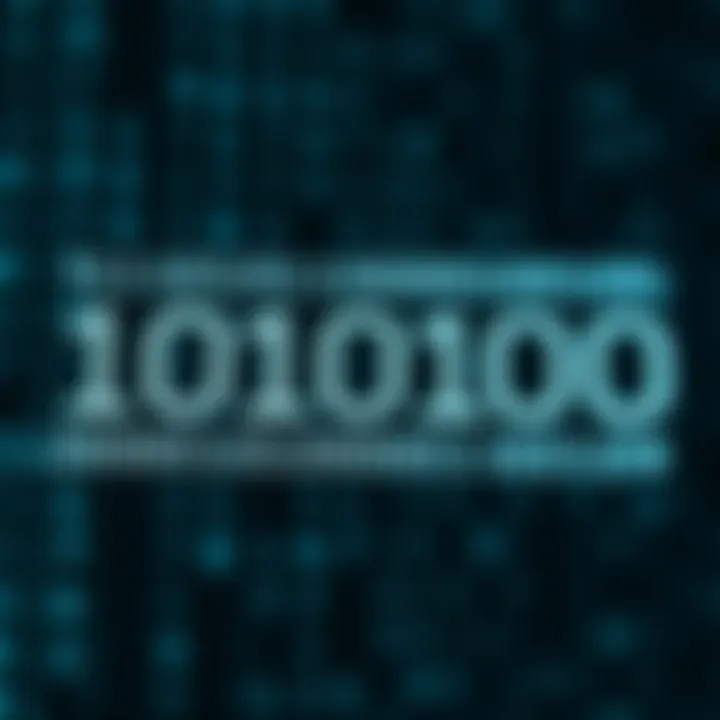Diagram illustrating the structure of binary digits and their positional values in computing